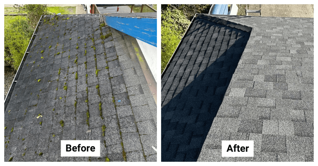 Roof Replacement - from Asphalt Shingle to Asphalt Shingle - 9165 212A Place, Langley Township, BC V1M 2B9