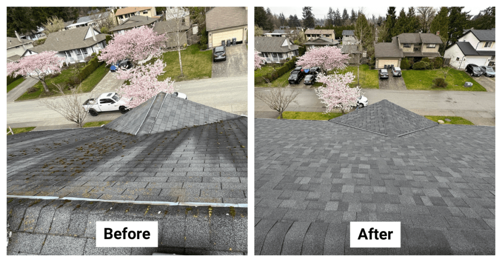 Roof Replacement - from Asphalt Shingle to Asphalt Shingle - 14752 87A Avenue, Surrey, BC V3S 6M2